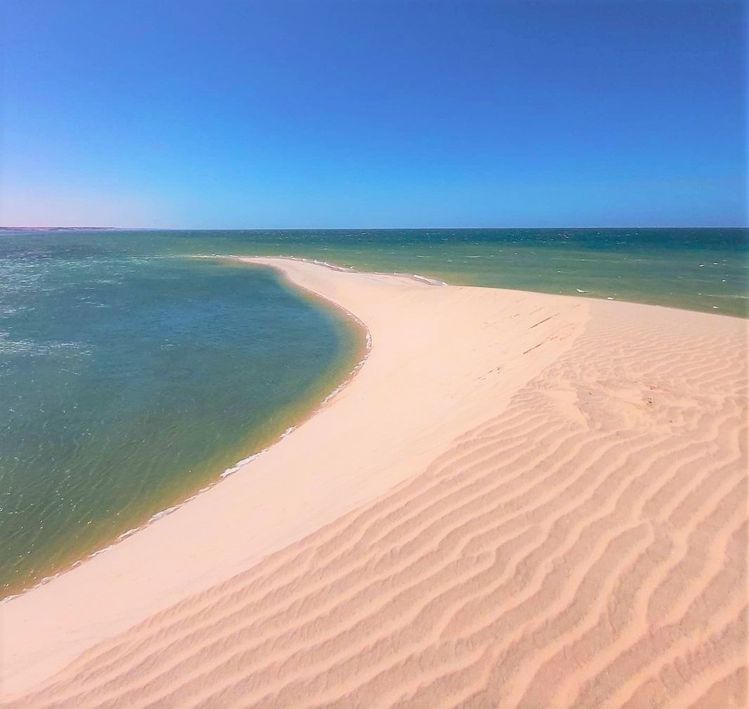 excursion désert Dakhla