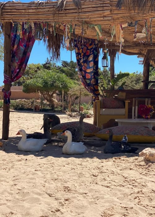 0da4e192-9567-4f2a-953a-615441948f1b