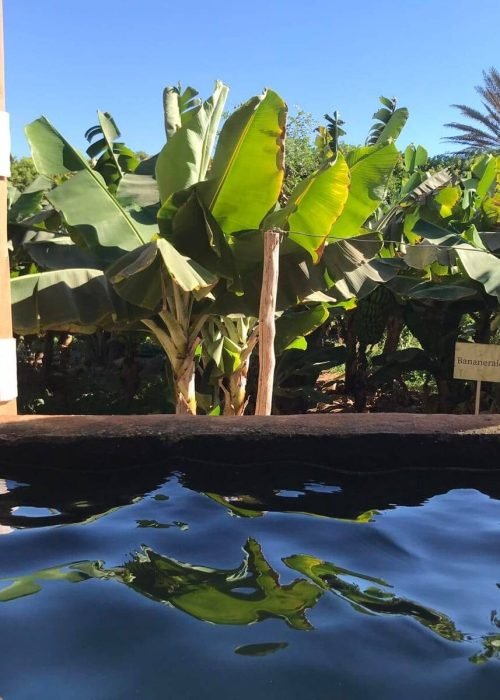 c54d050d-6dea-49e9-897e-cdbf31b4bc80